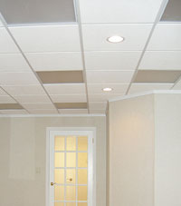 Basement Ceiling Tiles for a project we worked on in Columbia, Tennessee and Kentucky