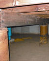 Mold and rot thriving in a dirt floor crawl space in Clarksville