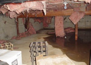 fiberglass insulation dripping off the ceiling of a crawl space in Columbia.