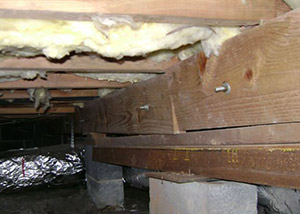 A sagging crawl space with concrete supports and wooden shimming a Paducah crawl space