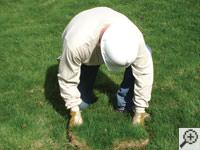 Restoring the landscaping by replacing removed sod on the ground for a Florence home.