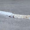 Slab floor cracks showing in a Gallatin home