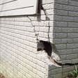foundation walls cracked due to settlement in Clarksville