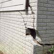 foundation walls cracked due to settlement in Nashville