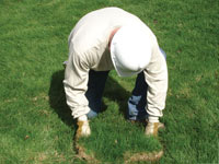 Restoring the landscaping by replacing removed lawn sections for a Franklin home.