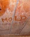 The word mold written with a finger on a moldy wood wall in Athens