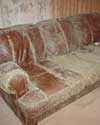furniture in a Columbia basement destroyed by mold and dust mites