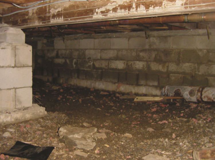 Mold in the Crawl Space – Is My Health at Risk? - Foundation Repair of  Western Colorado