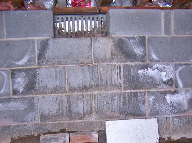 Mold Damage and Crawl Spaces in Jackson Nashville Clarksville TN