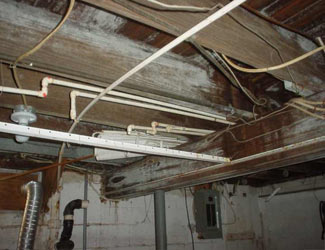 a humid basement overgrown with mold and rot in Tullahoma