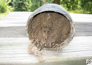 clogged french drain found in Mayfield, Tennessee and Kentucky