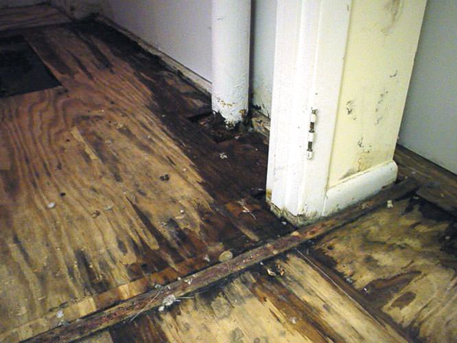 ruined_subfloor_lg