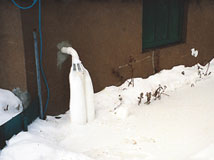 IceGuard® Installed Huntsville
